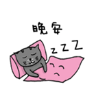 Cat Lovers' Daily Dialogue（個別スタンプ：24）
