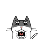 ian no word cat（個別スタンプ：4）