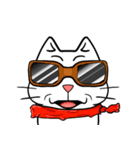 ian no word cat（個別スタンプ：11）