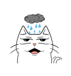 ian no word cat（個別スタンプ：13）
