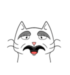 ian no word cat（個別スタンプ：17）