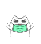 ian no word cat（個別スタンプ：24）