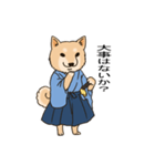 柴犬侍（個別スタンプ：2）