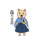 柴犬侍（個別スタンプ：3）