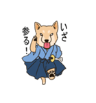 柴犬侍（個別スタンプ：10）