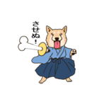 柴犬侍（個別スタンプ：13）