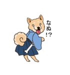 柴犬侍（個別スタンプ：33）