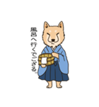 柴犬侍（個別スタンプ：36）