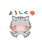 ぶたねこちゃん（個別スタンプ：5）