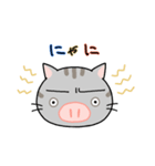 ぶたねこちゃん（個別スタンプ：14）