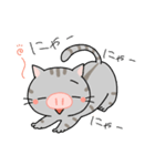 ぶたねこちゃん（個別スタンプ：38）