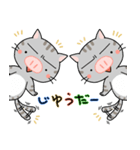 ぶたねこちゃん（個別スタンプ：39）