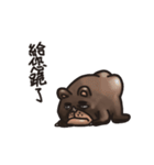 Uncle Shawn（個別スタンプ：4）