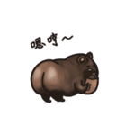 Uncle Shawn（個別スタンプ：7）
