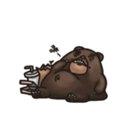 Uncle Shawn（個別スタンプ：13）