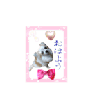 チワワの宙夢ちゃん（個別スタンプ：2）