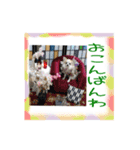 チワワの宙夢ちゃん（個別スタンプ：7）