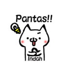 **Indah** only stickers（個別スタンプ：8）