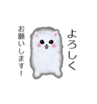 ふわふわポメラニアンスタンプ（個別スタンプ：1）