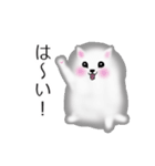 ふわふわポメラニアンスタンプ（個別スタンプ：3）