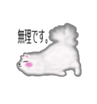 ふわふわポメラニアンスタンプ（個別スタンプ：4）