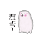 ふわふわポメラニアンスタンプ（個別スタンプ：5）