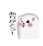 ふわふわポメラニアンスタンプ（個別スタンプ：7）