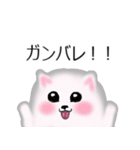 ふわふわポメラニアンスタンプ（個別スタンプ：10）