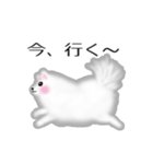 ふわふわポメラニアンスタンプ（個別スタンプ：14）