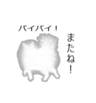 ふわふわポメラニアンスタンプ（個別スタンプ：16）