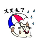 ずんぐりにゃんこ にゃっぷー（個別スタンプ：11）