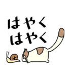 ずんぐりにゃんこ にゃっぷー（個別スタンプ：13）