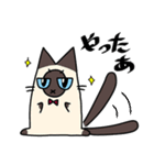 ずんぐりにゃんこ にゃっぷー（個別スタンプ：31）