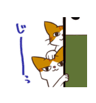 ココバルスタンプ。（個別スタンプ：16）