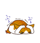ココバルスタンプ。（個別スタンプ：19）
