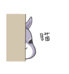 Two squirrels 1（個別スタンプ：23）
