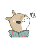 Two squirrels 1（個別スタンプ：24）