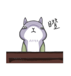 Two squirrels 1（個別スタンプ：28）