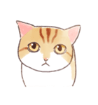 トロさんのなぞ姿勢（個別スタンプ：1）