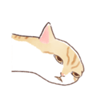 トロさんのなぞ姿勢（個別スタンプ：5）