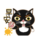 Truth Cat - Life Marquee - 1（個別スタンプ：1）