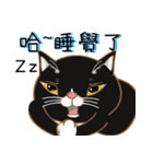 Truth Cat - Life Marquee - 1（個別スタンプ：2）