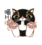 Truth Cat - Life Marquee - 1（個別スタンプ：3）