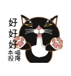 Truth Cat - Life Marquee - 1（個別スタンプ：5）
