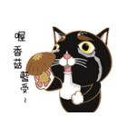 Truth Cat - Life Marquee - 1（個別スタンプ：6）