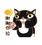 Truth Cat - Life Marquee - 1（個別スタンプ：7）