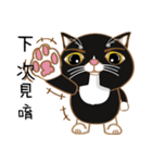 Truth Cat - Life Marquee - 1（個別スタンプ：10）