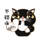 Truth Cat - Life Marquee - 1（個別スタンプ：11）