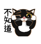 Truth Cat - Life Marquee - 1（個別スタンプ：12）