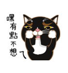 Truth Cat - Life Marquee - 1（個別スタンプ：13）